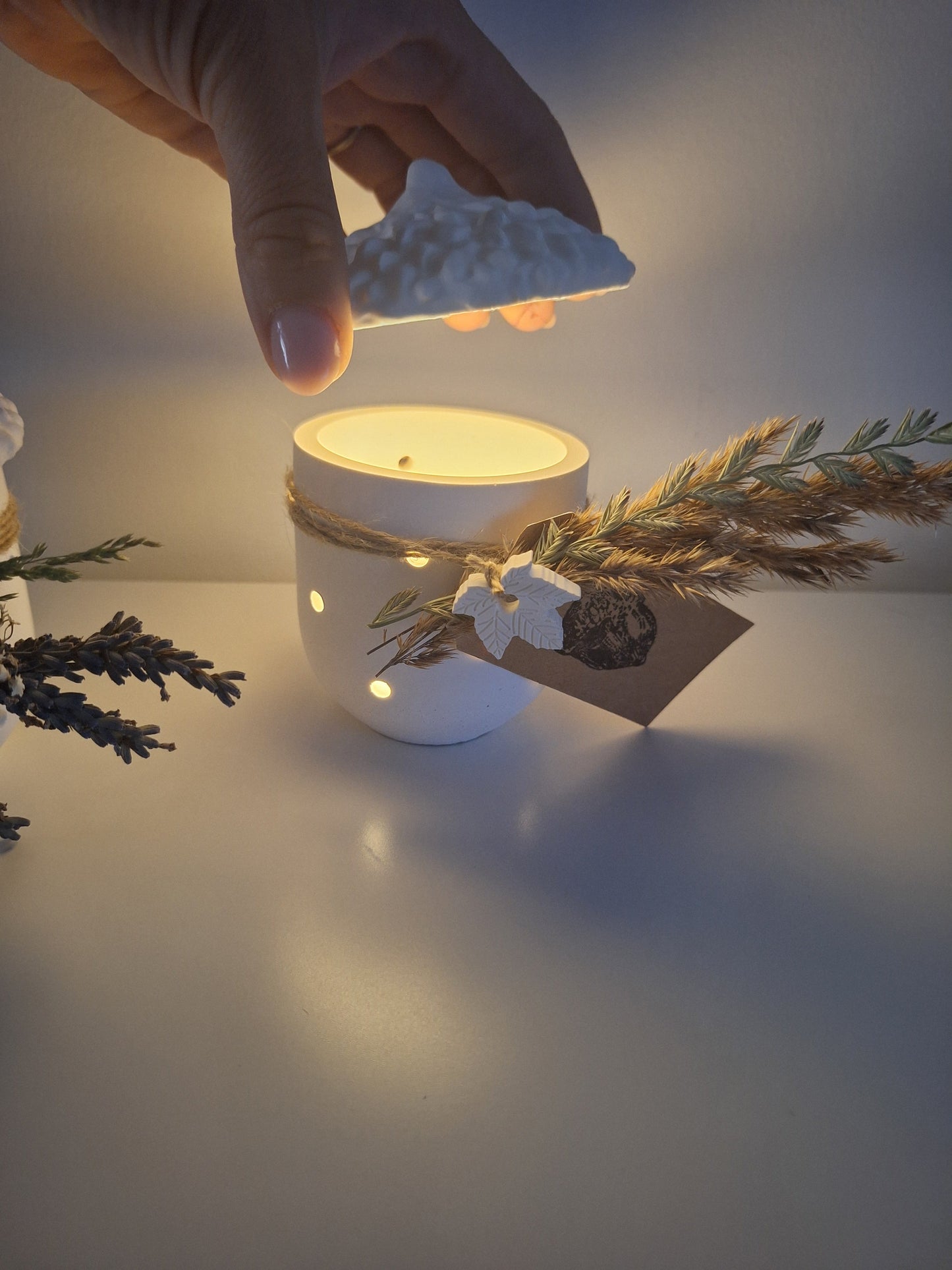 Lichterdose Eichel