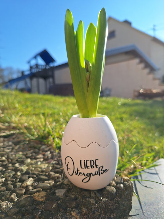 Frühblüher im Osterei