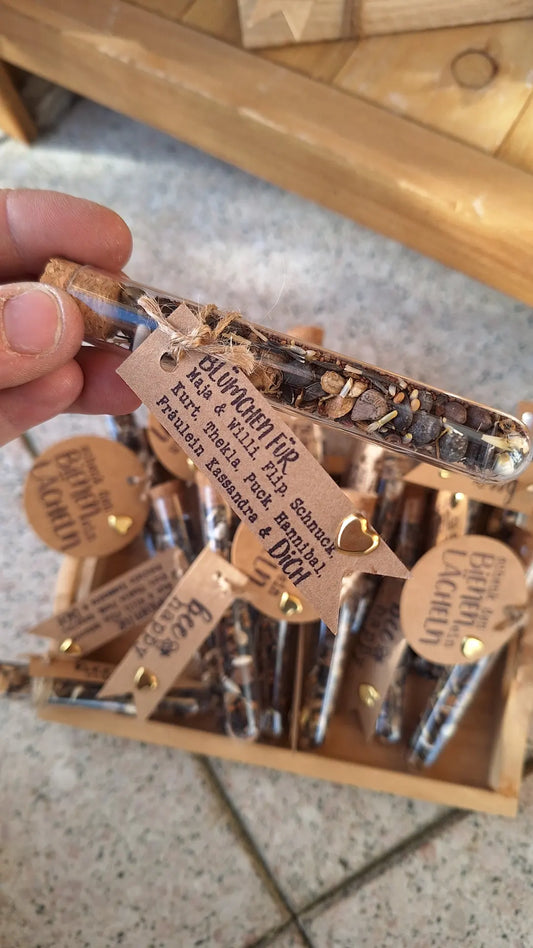 Kleiner Frühlingsgruß