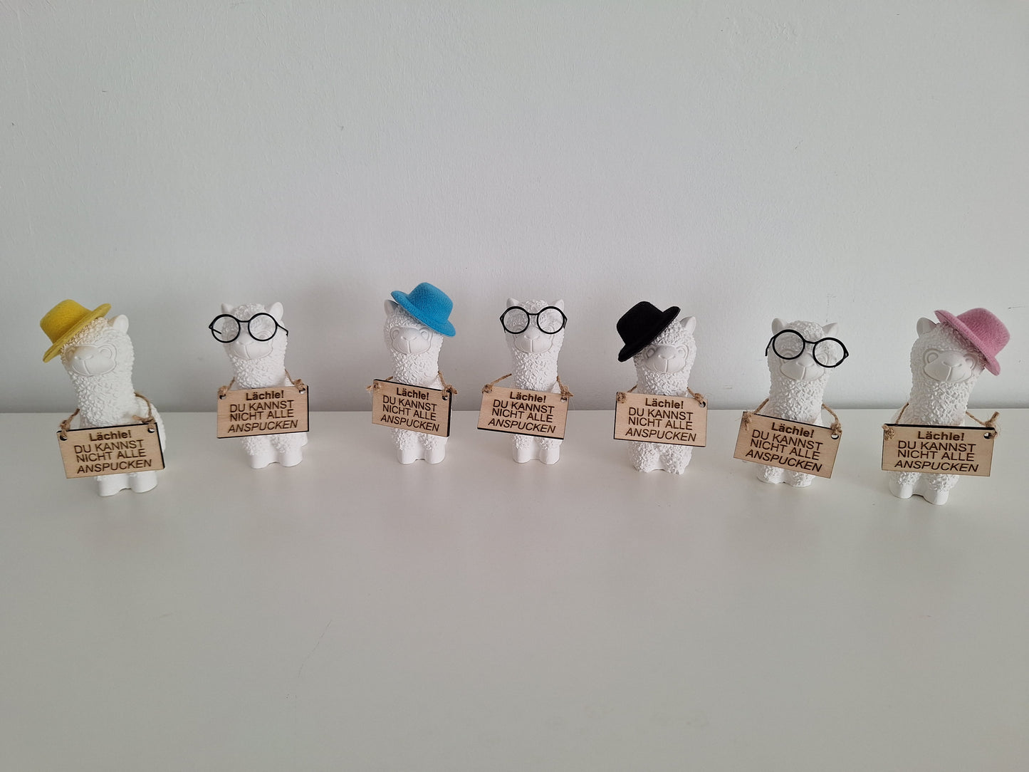 Lama / Lächle! Hut oder Brille