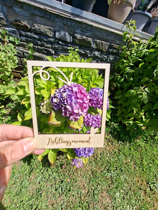 Bilderrahmen/ Momentaufnahmen