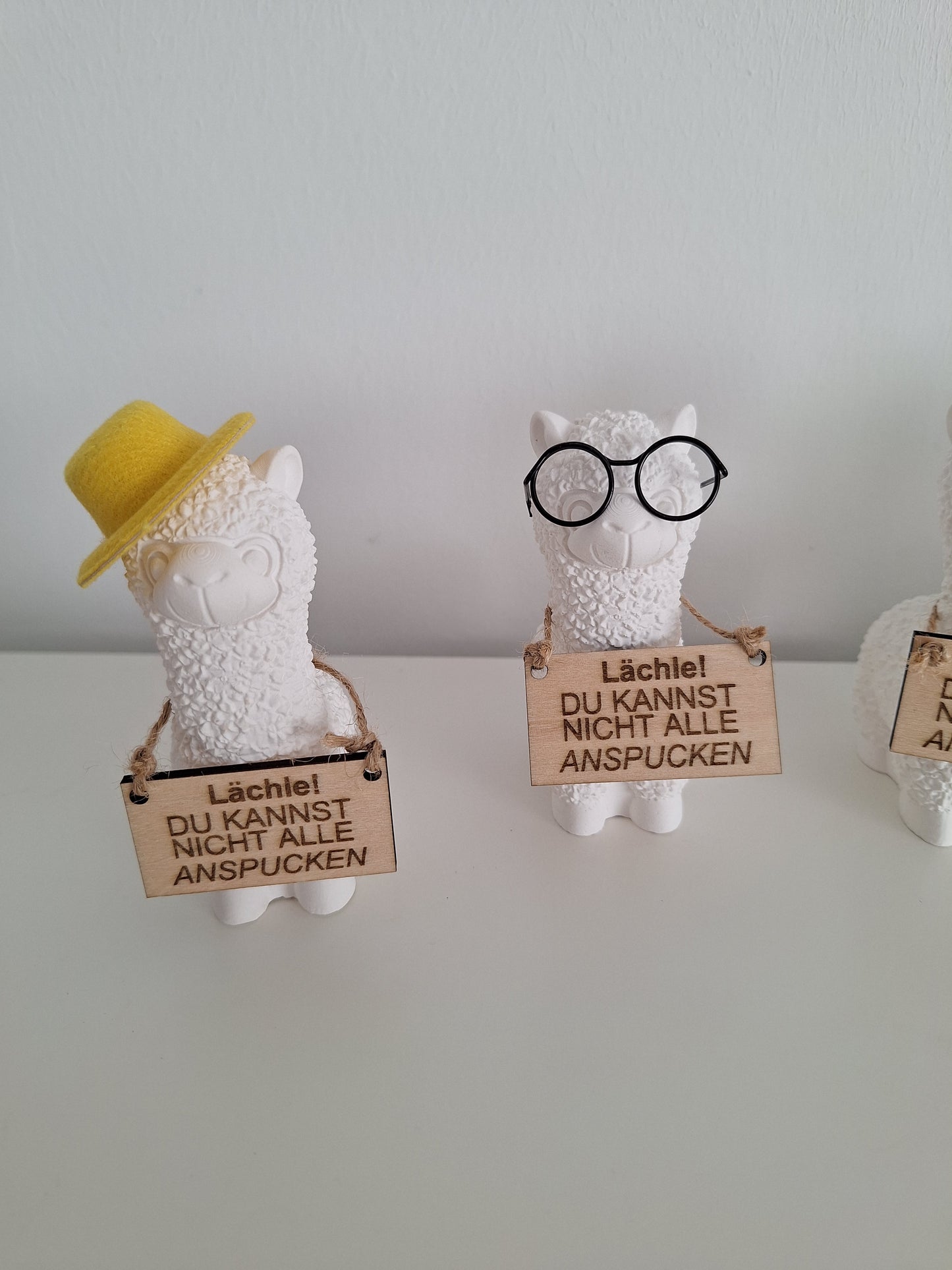 Lama / Lächle! Hut oder Brille