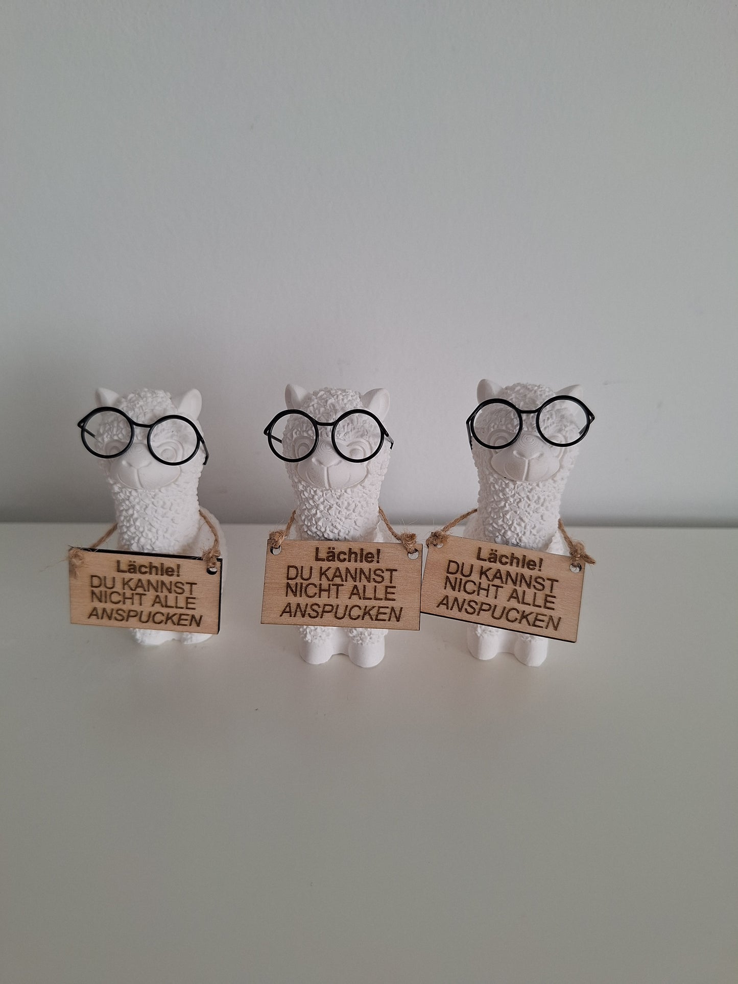 Lama / Lächle! Hut oder Brille