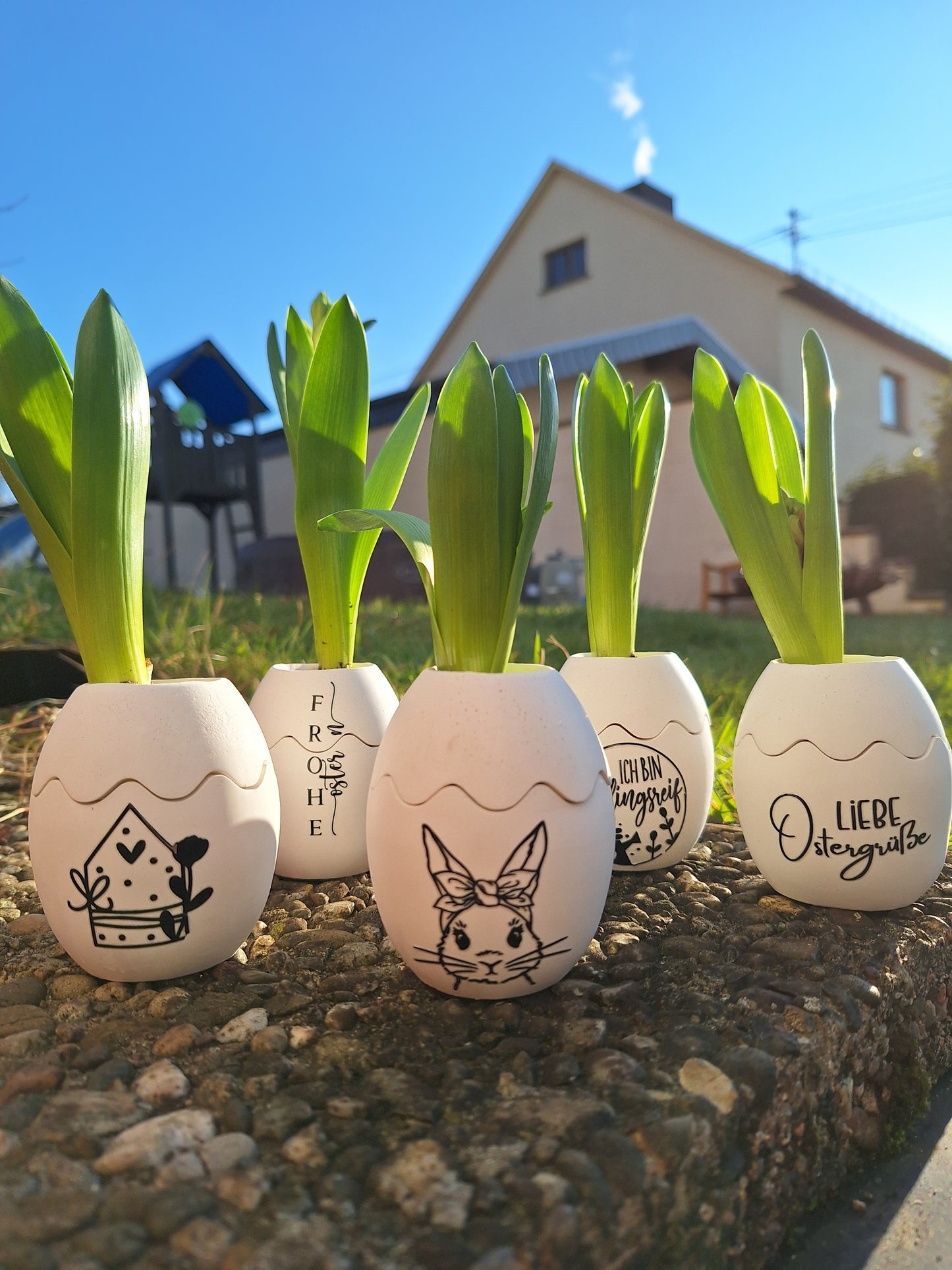 Frühblüher im Osterei